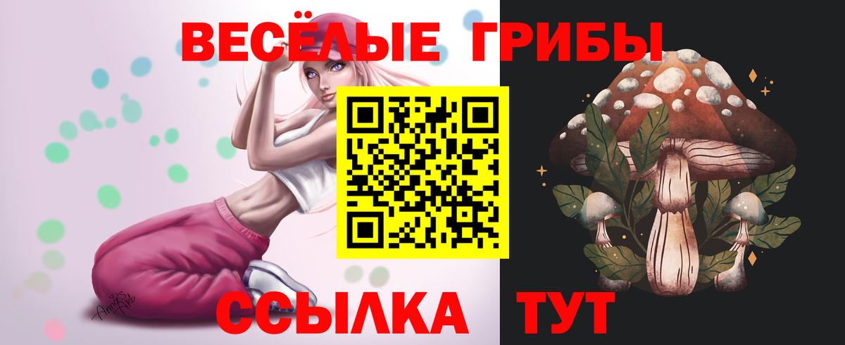 Реутов  Псилоцибиновые грибы Magic Shrooms  Вход с VPN 